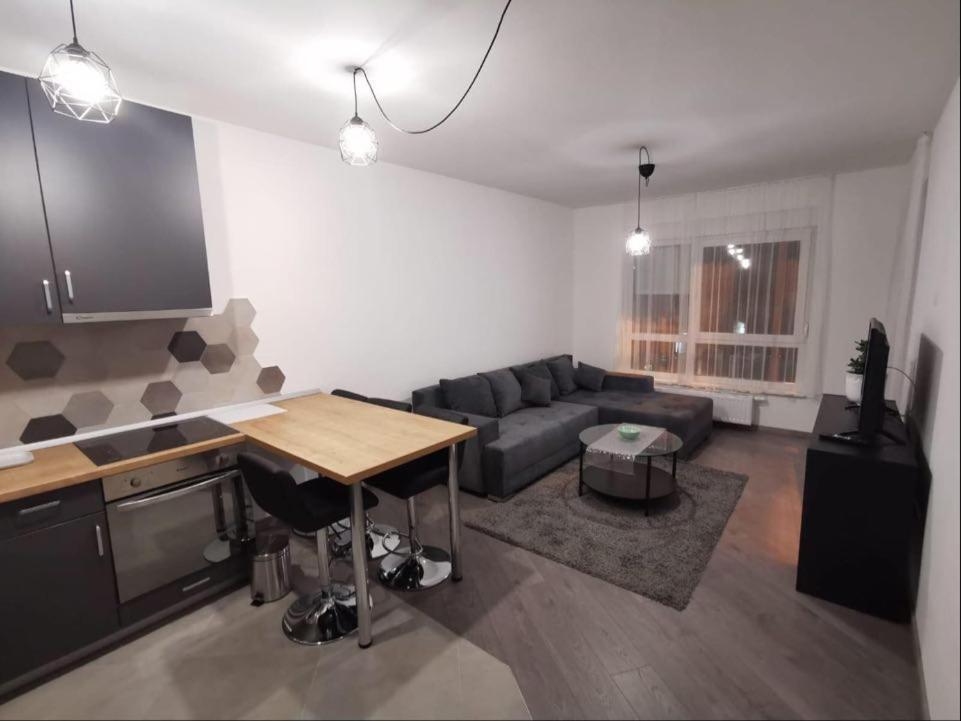 Apartment Gray